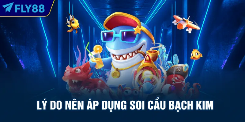 Lý do nên áp dụng