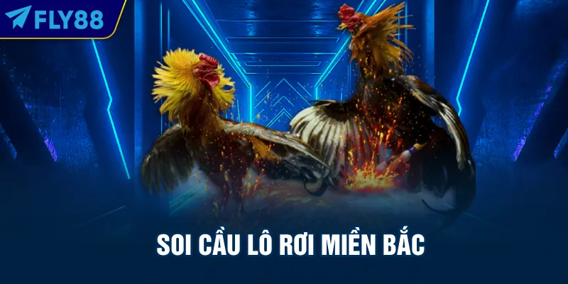 Soi cầu lô rơi miền Bắc